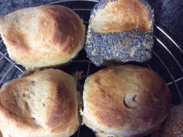 Kartoffelbrei-Brötchen