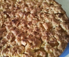 Aprikosenstreuselkuchen