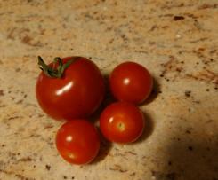 Variation Tomatensuppe von frischen Tomaten mit Paprika