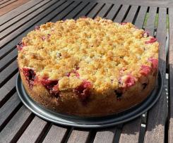 Pflaumenkuchen mit Rührteig & Streuseln ohne Zucker mit Dinkelmehl