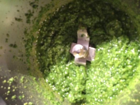 Petersilien Pesto 
