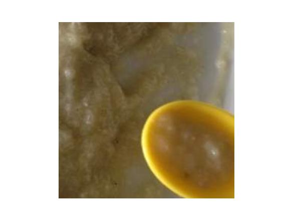 Gurken Birnen Brei mit Pute