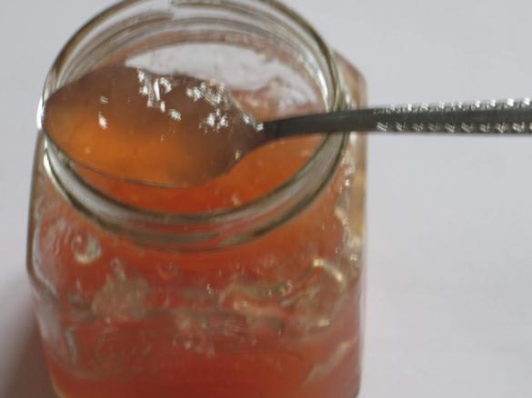 Rhabarbergelee aus purem Saft