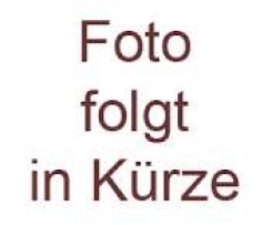 Sauerampfer Eis am Stiel