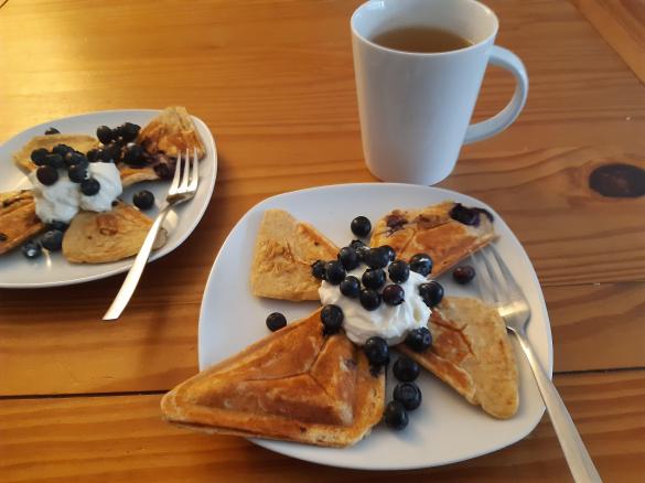 Blitz-Protein-Muffins aus dem Sandwichmaker mit Heidelbeeren