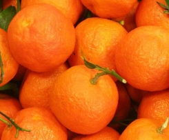 Mandarinenmarmelade mit Vanille und Zimt