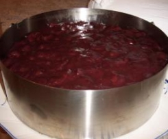 Rene Käsekuchen mit Kirschpuddig