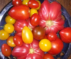 KetchUp aus frischen Tomaten ohne Zucker