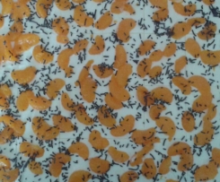 Zitronen-Mandarinen-Kuchen