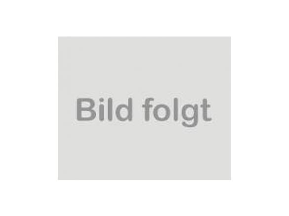 Variation von Tomatenrisotto - Tomate und Basilikum