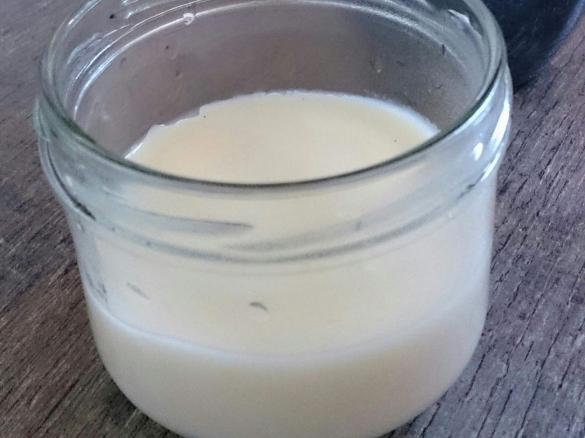 Panna Cotta nach LOGI mit Birkenzucker (Xylit)