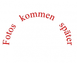 Früchte-Taler, Früchteplätzchen, 2. Versuch (aus der MDR Garten-Sendung, nach der RUMFORT-Methode)