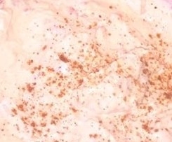 Paprika Frischkäse Dip