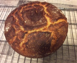 Emmer, oder Dinkel Quark Brot 