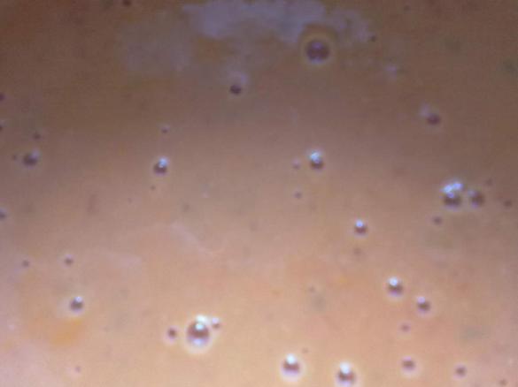 Frische Tomatensauce - fruchtig lecker