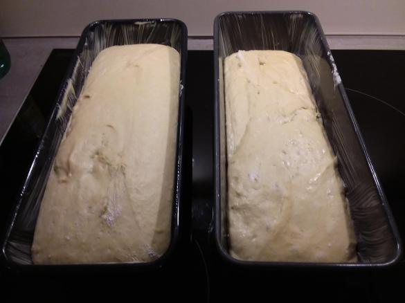 Variation Gold-Toast