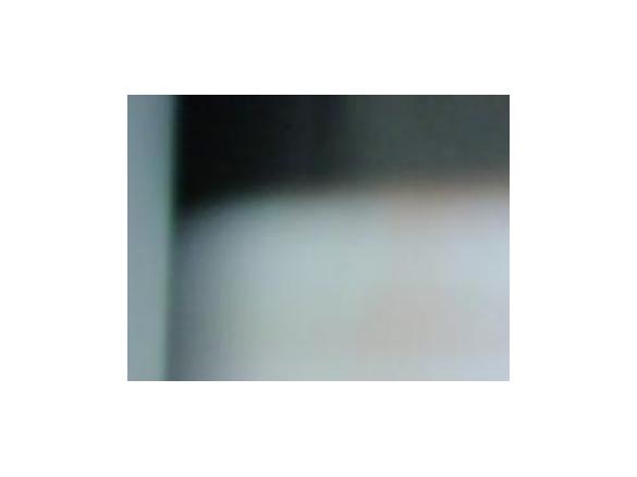 Frucht-Charlotte - leichte Back-Küche