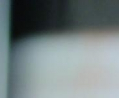 Frucht-Charlotte - leichte Back-Küche