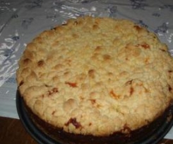 Aprikosen - Quark - Kuchen