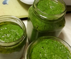 Grüne kanarische Avocadomojo