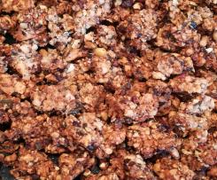 Nuss-Granola LowCarb