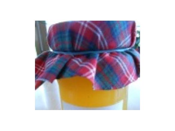 Holunderblüten Orangensaft Gelee