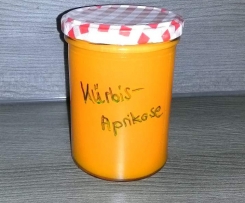 Kürbis-Aprikose-Marmelade
