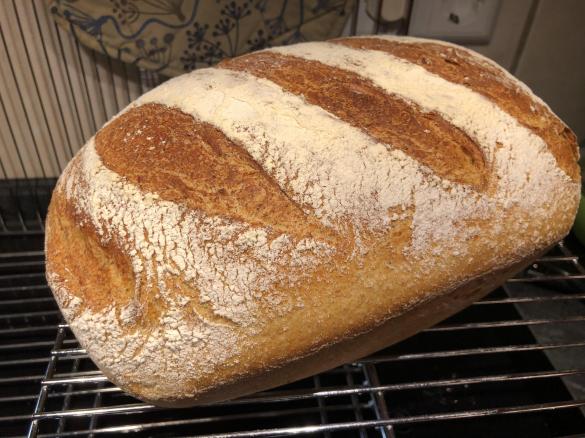 Sauerkraut-Dinkel-Brot