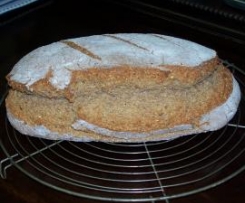 Dinkel-Hafer Brot auf Backstein gebacken