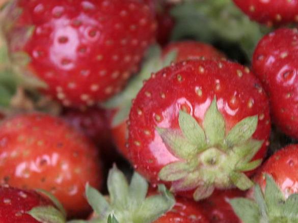Süßes Pesto mit Erdbeer-Carpaccio