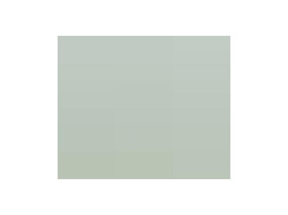 Slush Eis aus Früchten