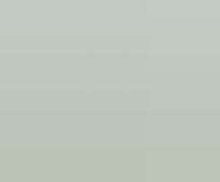 Slush Eis aus Früchten