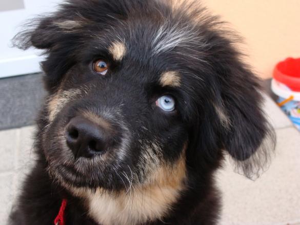 Variation Linsensuppe nach Omas Rezept