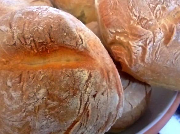 Quark-Brötchen / Quark-Zwiebelbrötchen