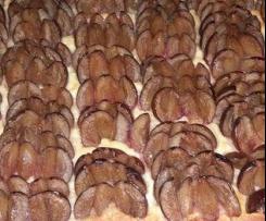 Pflaumenkuchen mit Hefe
