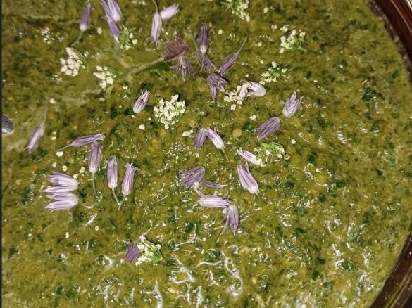 Gierschsuppe, süß und kalt