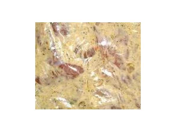 Grillmarinade für Schweinefleisch. ..altes DDR- Rezept