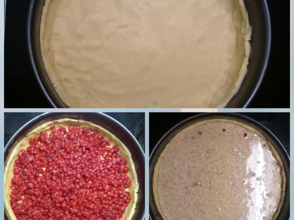 Johannisbeerkuchen / Träubleskuchen - super schnell VARIATION