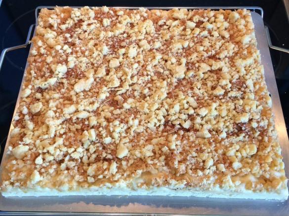 Öl-Quark-Teig Apfelkuchen mit Streusel