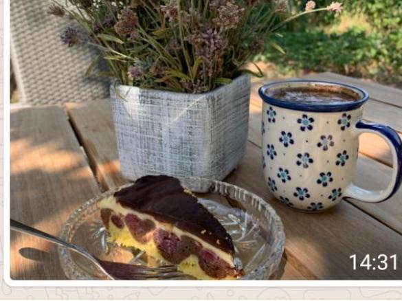 Donauwelle für 26er Springform