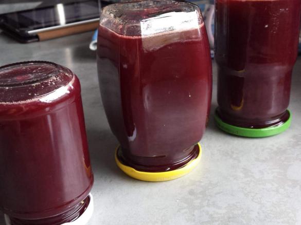 Traubengelee / Traubenmarmelade