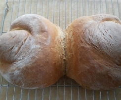 St. Gallener Brot 