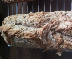Kölschbrot mit Körnern (schnell und einfach)