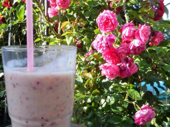 Tina´s Früchte-Smoothie