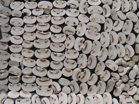 Vit. D3 Sonnen-Champignons