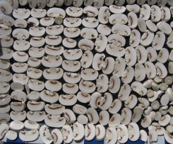 Vit. D3 Sonnen-Champignons