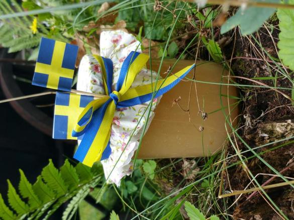 Schwedisches Apfelmus (Äppelmos)