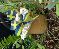 Schwedisches Apfelmus (Äppelmos)
