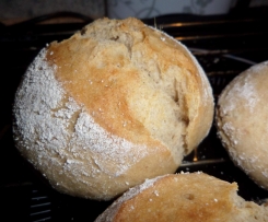 Sylvia´s - Beste Brötchen