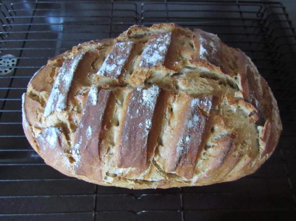 Krustenbrot mit Kümmel